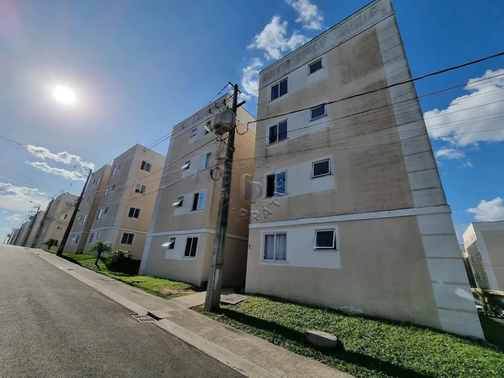 Alugar Apartamento / Padrão em Castro R$ 800,00 - Foto 1