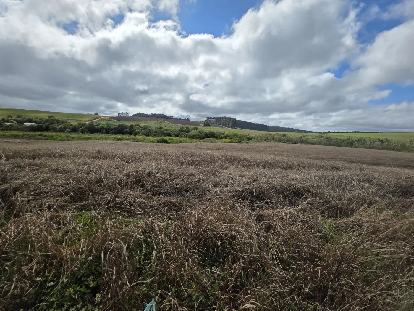Comprar Rural / ChácaraFazenda em Castro R$ 3.200.000,00 - Foto 29