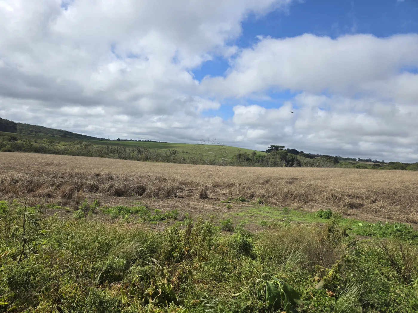 Comprar Rural / ChácaraFazenda em Castro R$ 3.200.000,00 - Foto 34