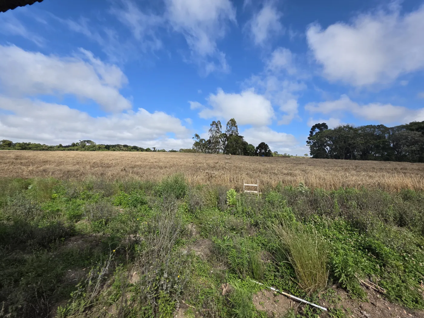 Comprar Rural / ChácaraFazenda em Castro R$ 3.200.000,00 - Foto 42