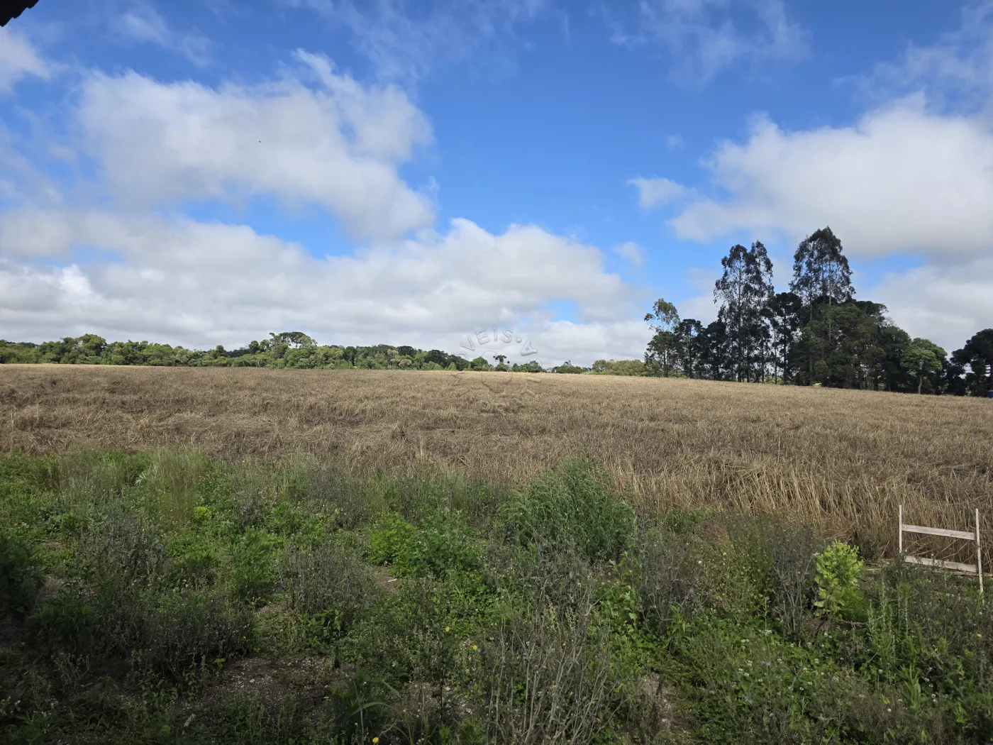 Comprar Rural / ChácaraFazenda em Castro R$ 3.200.000,00 - Foto 43