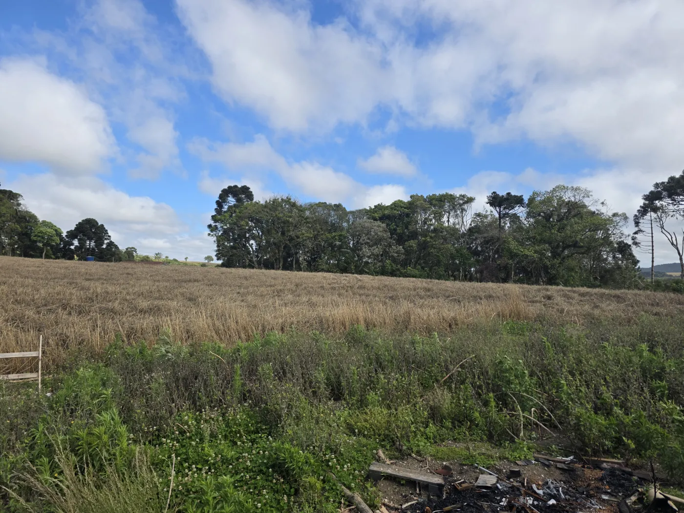 Comprar Rural / ChácaraFazenda em Castro R$ 3.200.000,00 - Foto 44