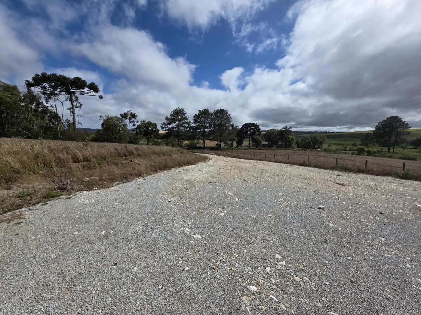 Comprar Rural / ChácaraFazenda em Castro R$ 3.200.000,00 - Foto 3