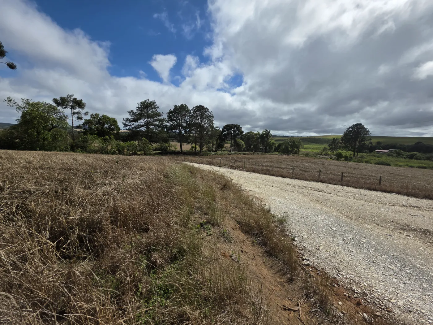 Comprar Rural / ChácaraFazenda em Castro R$ 3.200.000,00 - Foto 46