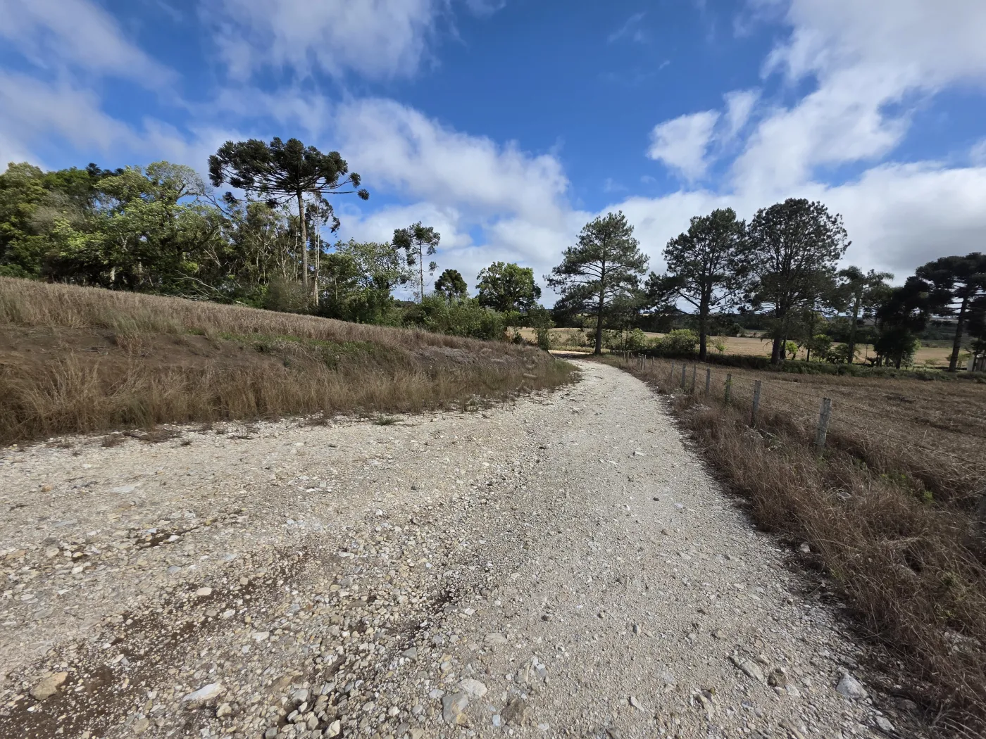 Comprar Rural / ChácaraFazenda em Castro R$ 3.200.000,00 - Foto 6