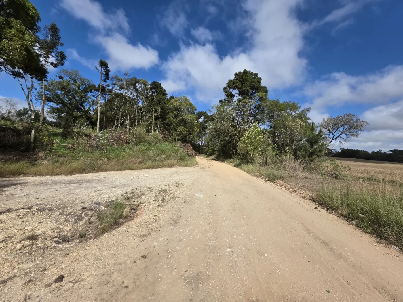 Comprar Rural / ChácaraFazenda em Castro R$ 3.200.000,00 - Foto 7