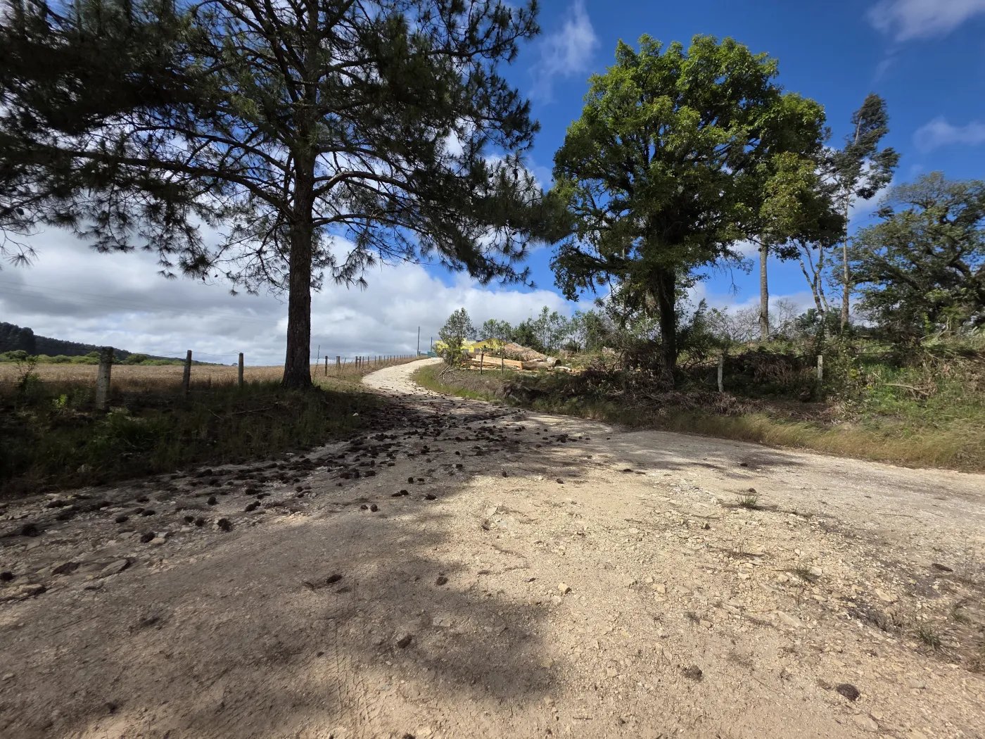 Comprar Rural / ChácaraFazenda em Castro R$ 3.200.000,00 - Foto 2