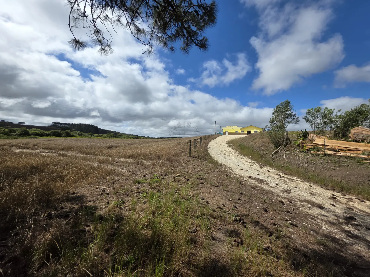 Comprar Rural / ChácaraFazenda em Castro R$ 3.200.000,00 - Foto 49