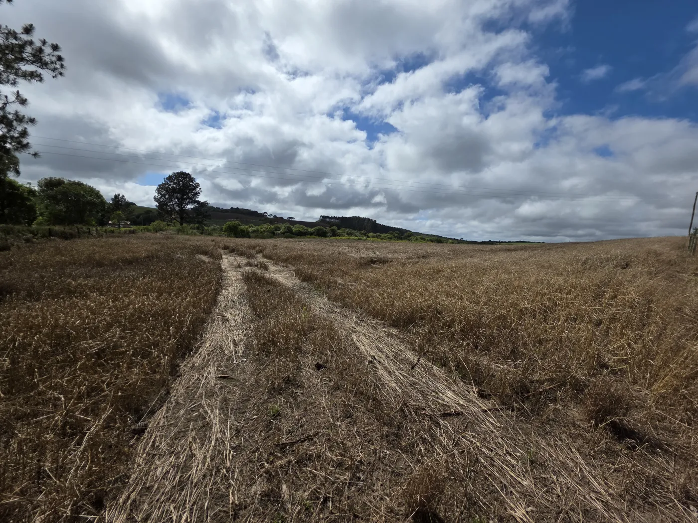 Comprar Rural / ChácaraFazenda em Castro R$ 3.200.000,00 - Foto 50