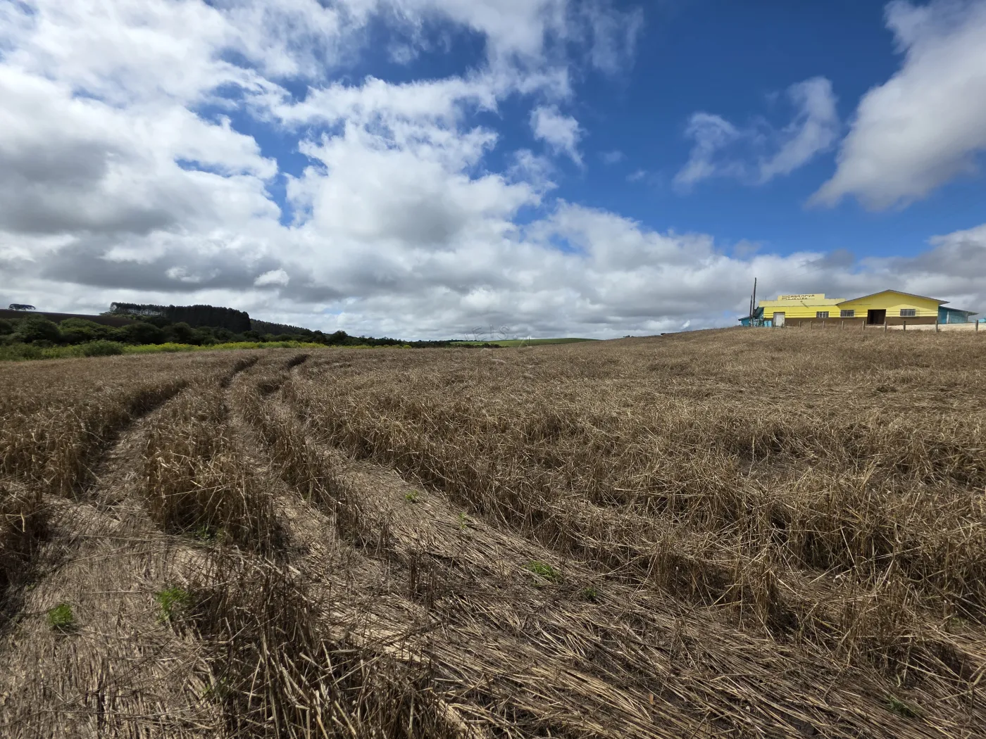 Comprar Rural / ChácaraFazenda em Castro R$ 3.200.000,00 - Foto 51