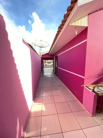 imagem 3 - Nossa Senhora das Graças imagem 3 - Nossa Senhora das Graças