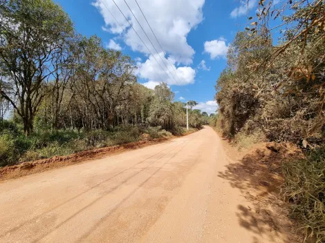 imagem 3 - Bairro dos Agostinhos imagem 3 - Bairro dos Agostinhos