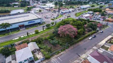 Vila Rio Branco