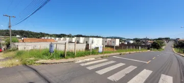 Alugar Terreno / Padrão em Castro. apenas R$ 229.000,00