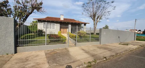 imagem 2 - Jardim das Araucárias imagem 2 - Jardim das Araucárias