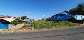 Alugar Terreno / Padrão em Castro. apenas R$ 210.000,00