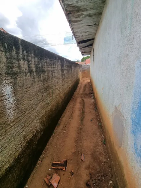 imagem 3 - Jardim das Araucárias 2 imagem 3 - Jardim das Araucárias 2