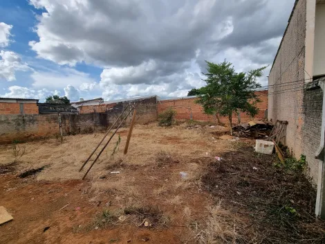 imagem 4 - Jardim das Araucárias 2 imagem 4 - Jardim das Araucárias 2