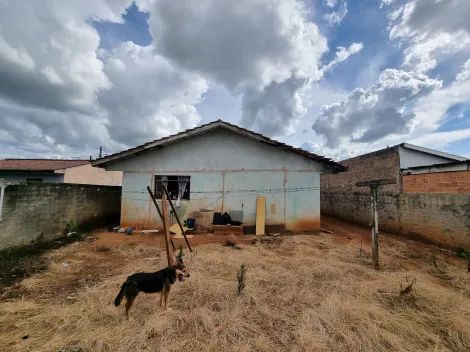 imagem 2 - Jardim das Araucárias 2 imagem 2 - Jardim das Araucárias 2