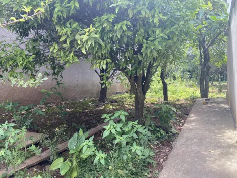 imagem 4 - Terreno imagem 4 - Terreno