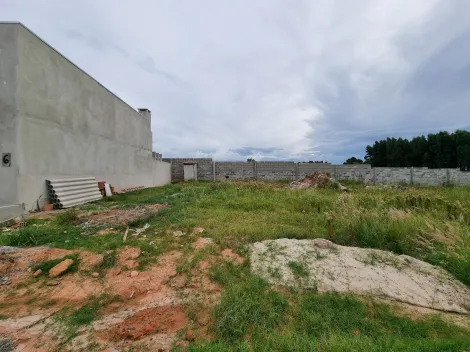 imagem 2 - Colônia Dona Luiza imagem 2 - Colônia Dona Luiza