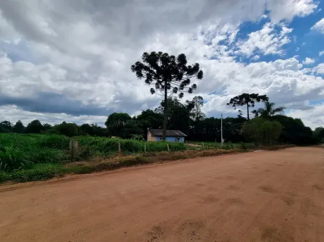 Alugar Terreno / Padrão em Castro. apenas R$ 1.200.000,00