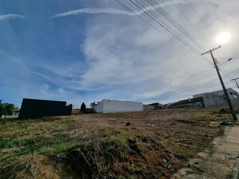 imagem 1 - Piraí do Sul imagem 1 - Piraí do Sul