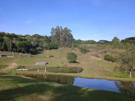 imagem 2 - Catanduvas imagem 2 - Catanduvas