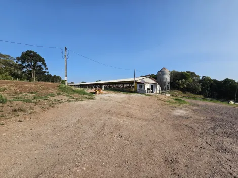 imagem 5 - Piraí do Sul imagem 5 - Piraí do Sul