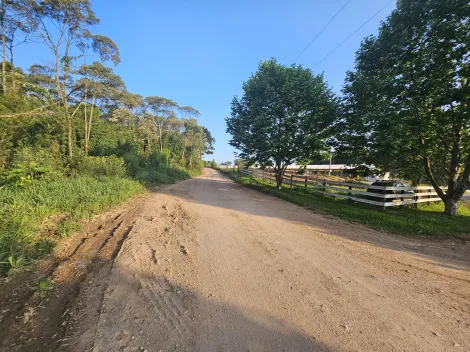 imagem 2 - Piraí do Sul imagem 2 - Piraí do Sul