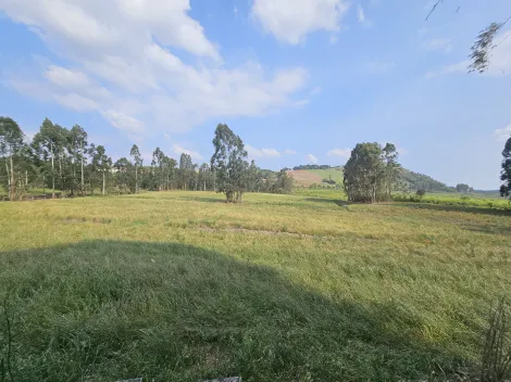 imagem 3 - Piraí do Sul imagem 3 - Piraí do Sul
