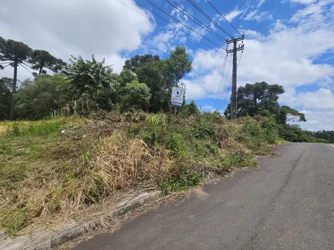 imagem 2 - Mirante da Serra imagem 2 - Mirante da Serra