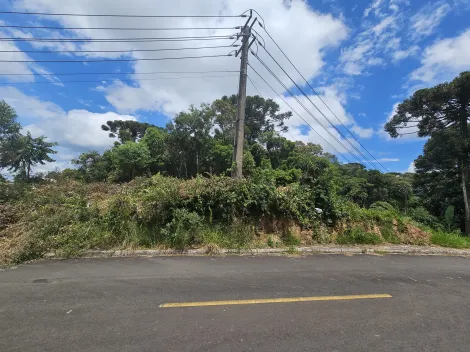 imagem 3 - Mirante da Serra imagem 3 - Mirante da Serra
