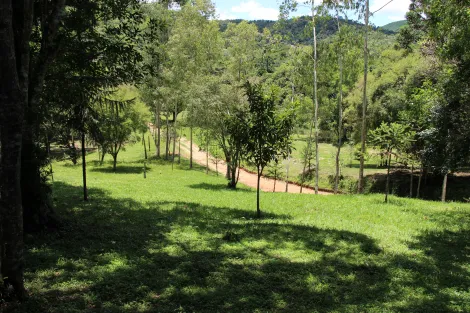imagem 5 - Cerro Azul imagem 5 - Cerro Azul