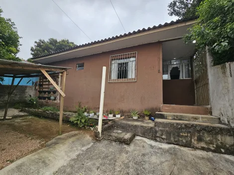 imagem 2 - Jardim das Araucárias imagem 2 - Jardim das Araucárias