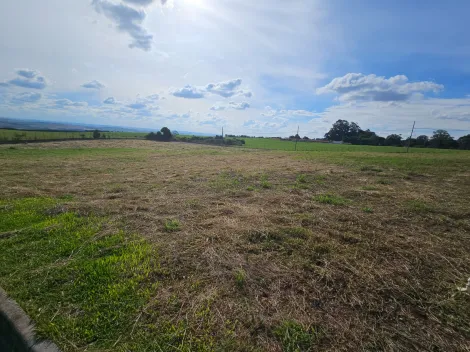 imagem 2 - Carambeí imagem 2 - Carambeí