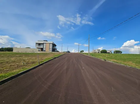 imagem 4 - Carambeí imagem 4 - Carambeí