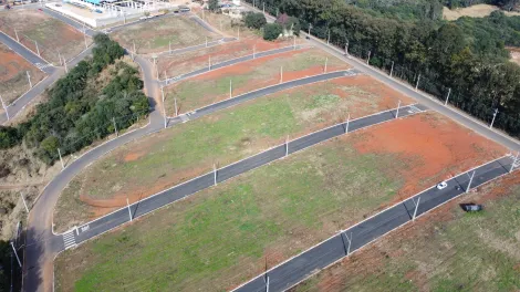 imagem 1 - Jardim das Acácias imagem 1 - Jardim das Acácias