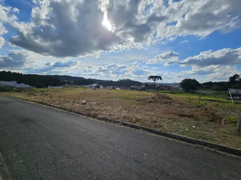 imagem 2 - Castroville imagem 2 - Castroville