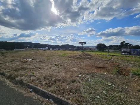 imagem 3 - Castroville imagem 3 - Castroville