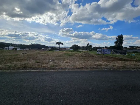 imagem 1 - Castroville imagem 1 - Castroville