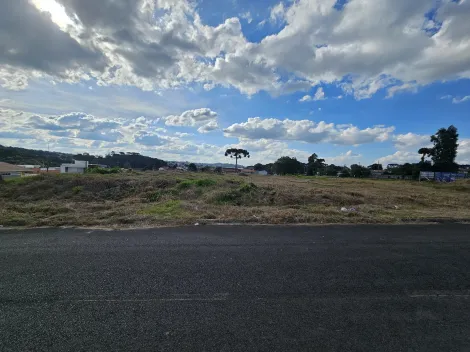 imagem 1 - Castroville imagem 1 - Castroville