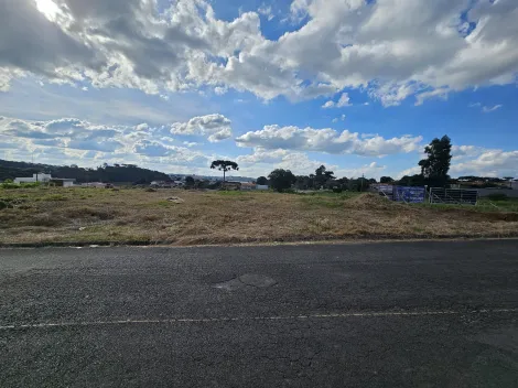imagem 2 - Castroville imagem 2 - Castroville