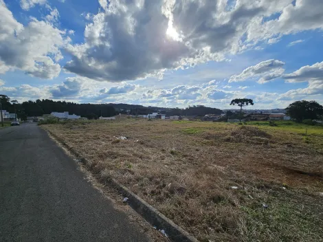 imagem 4 - Castroville imagem 4 - Castroville