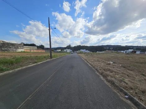 imagem 5 - Castroville imagem 5 - Castroville