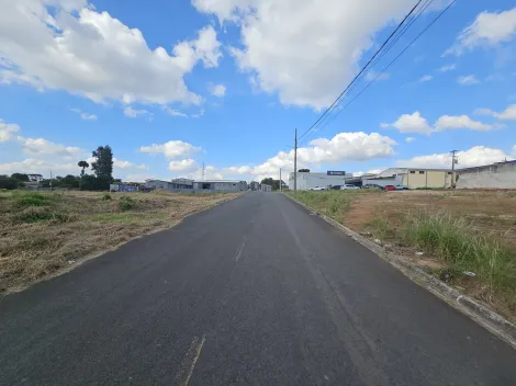 imagem 4 - Castroville imagem 4 - Castroville