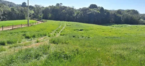 imagem 2 - Abapã imagem 2 - Abapã