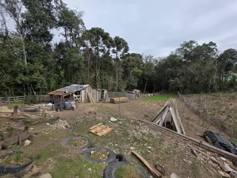 imagem 4 - Abapã imagem 4 - Abapã