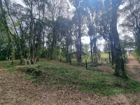 imagem 5 - Rural - ChácaraFazenda imagem 5 - Rural - ChácaraFazenda