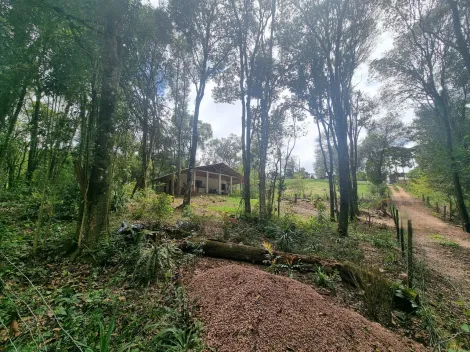 imagem 1 - Rural - ChácaraFazenda imagem 1 - Rural - ChácaraFazenda